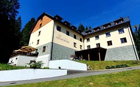 Wellness Hotel Pod Kycmolem